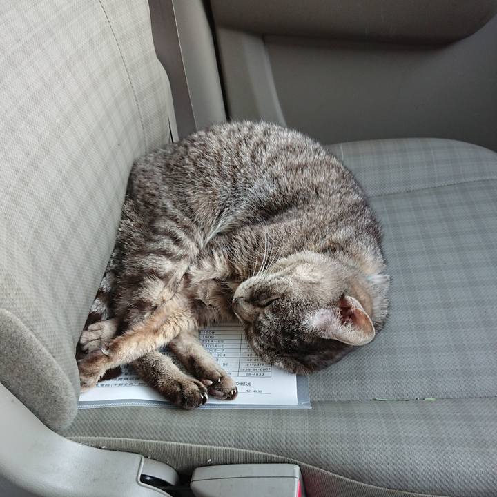 A7763495 024f 40a5 b85e ba336de8f0e9 1556873138247