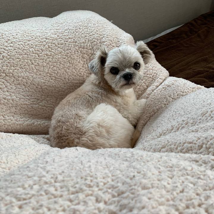 A7766e6b 5e81 4b4a 80bb dc5d81635da8 1643029386083