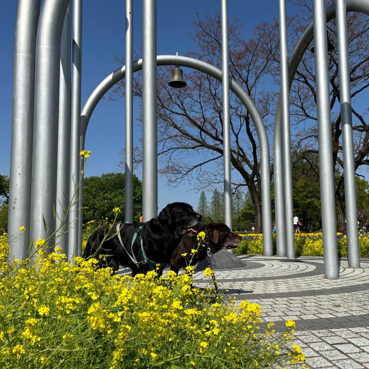 A776818f 3624 405e 804b 35162329e782 1775913728909