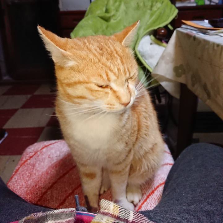 A776841b ba4a 4a61 b10f 6758316d715c 1587240555851