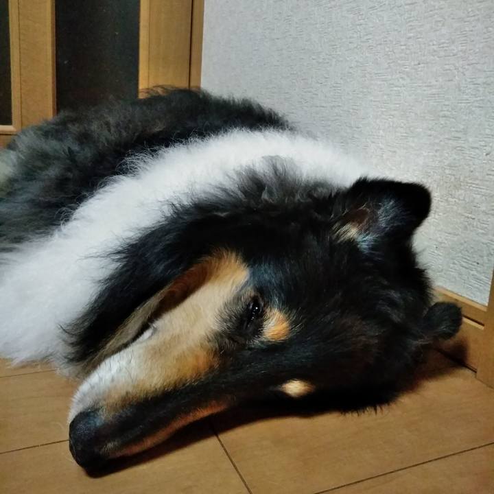 A7768cac 731e 4641 8058 f2a13befc920 1521036582487