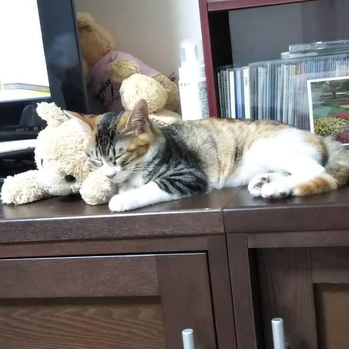 A77697fa 38ea 4278 ab71 aafdb9f8a7bc 1628671866337