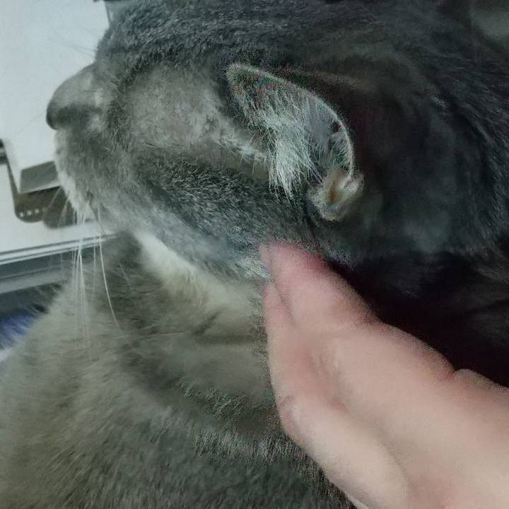 A776be0b 357a 4bef b6fe 7c0c54f205ab 1680473336163