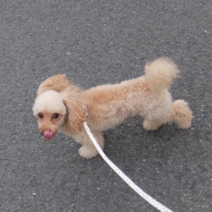 A776cb20 ad0e 44b4 9139 5dee99bffc33 1507949169220