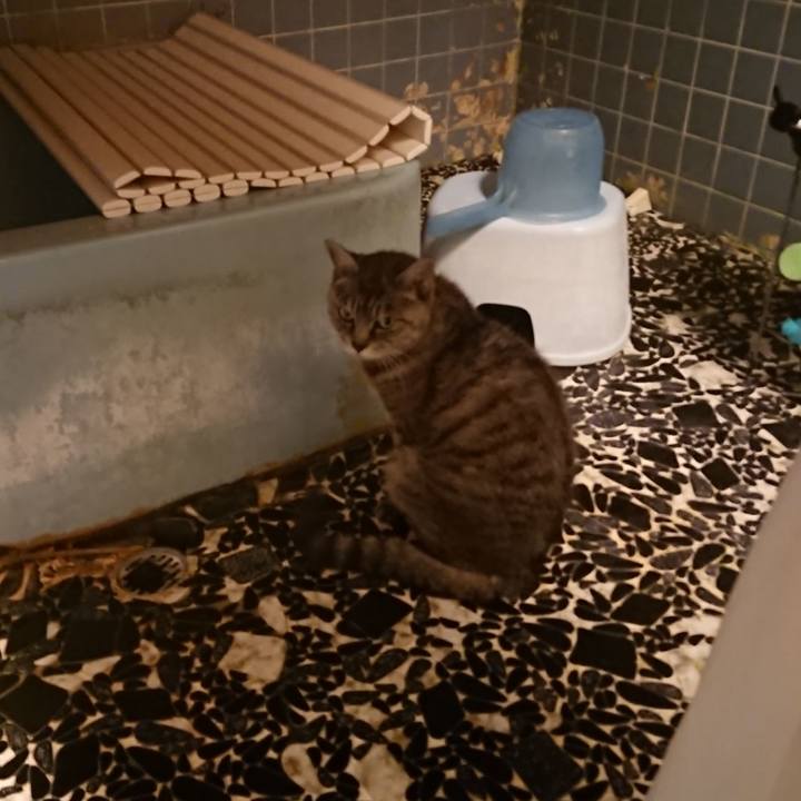 A7771ef5 66d2 4af5 904c 8174c998d99b 1570439819887