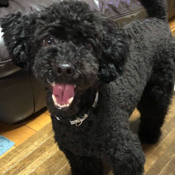 A7773434 9dd3 4fe0 8573 d347b413f4a1 1532520393311