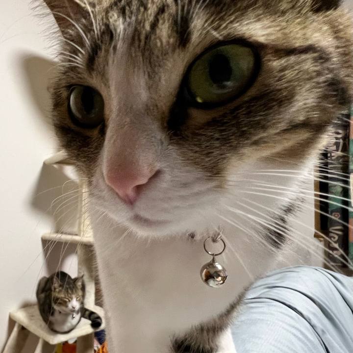 A7776bb3 8f5c 4415 8de5 b62f5cb3c800 1728057850815