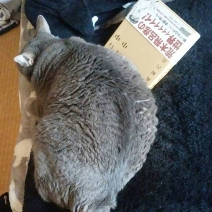 A7776e2e debe 427a 9116 a66c3af5968f 1529112713001