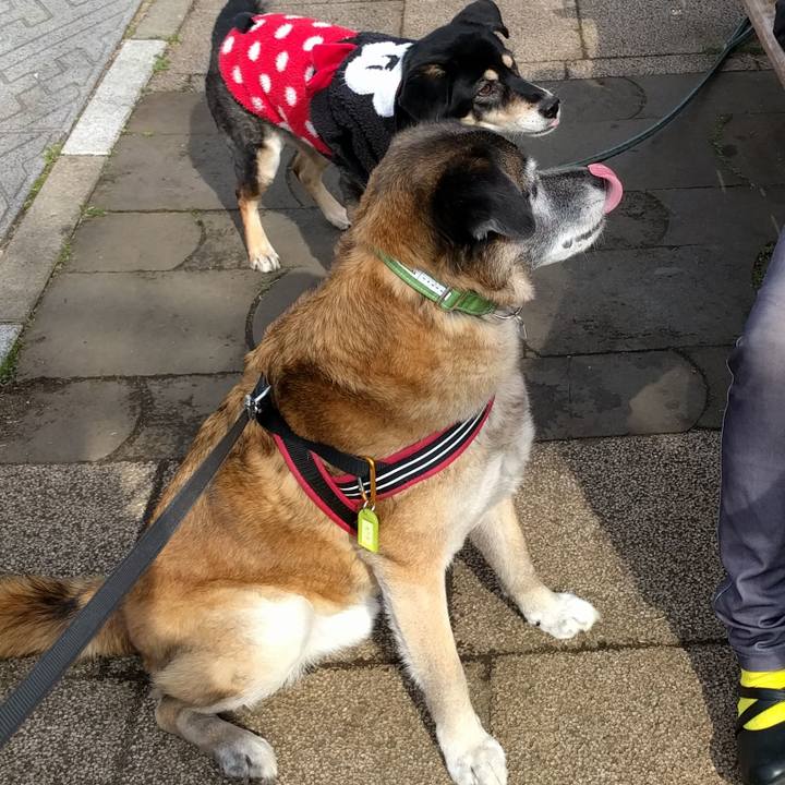 A7777153 9dbf 4d0a 9150 919cdd8571e3 1522024039957