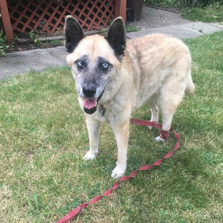 A777a4fb 5ae4 47ef 8356 17058efdb63f 1564334141673