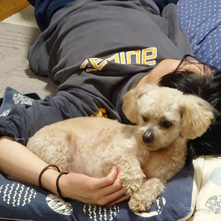 A777a720 a902 4597 9a56 126d7873f69c 1620567878385