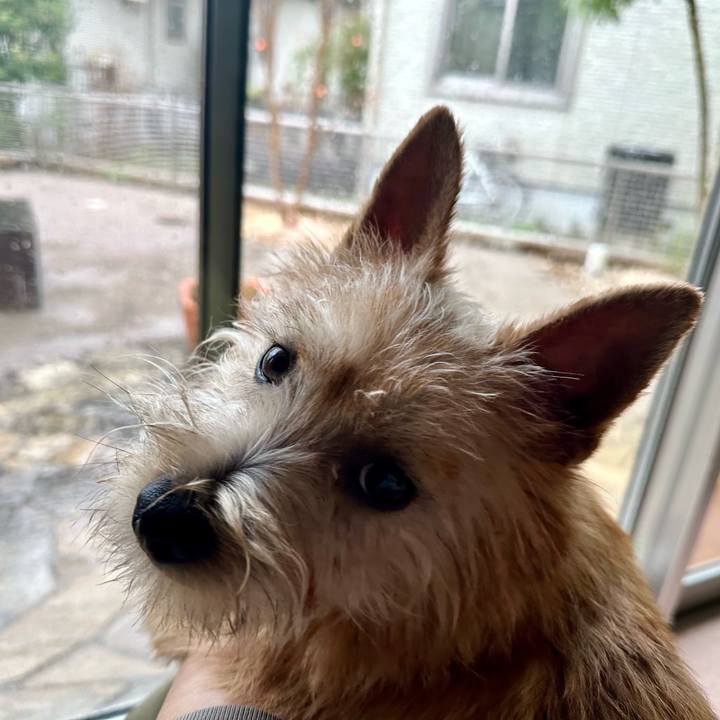 A777c6f2 8873 45dd 9db7 01048ca679ce 1711676264629