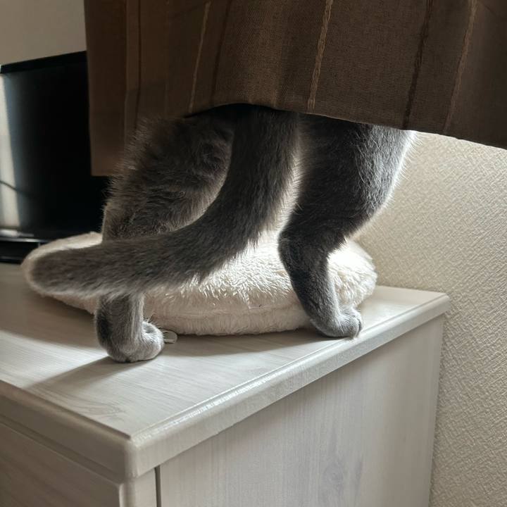 A777df3a 5c15 43a8 b5ce ec083db1b8b6 1684896697076