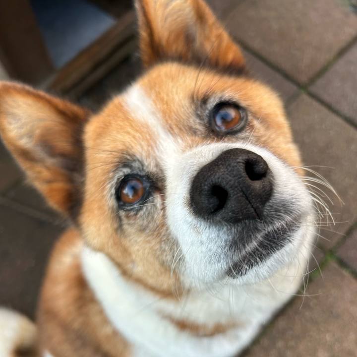 A7789f9b 648a 421b aa4b 1d4db38c4462 1761947642605