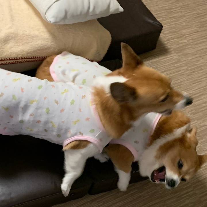 A778d1ec b1e4 4838 a500 7137ed9cebe0 1609216286029