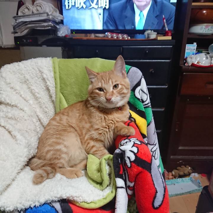 A778fd19 9d09 4048 ba47 8979c9a1fea6 1635937589735