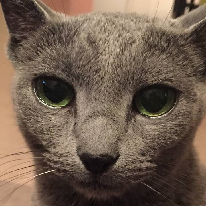 A7792514 f33c 4ee4 a1da 3261824668f2 1544876761401