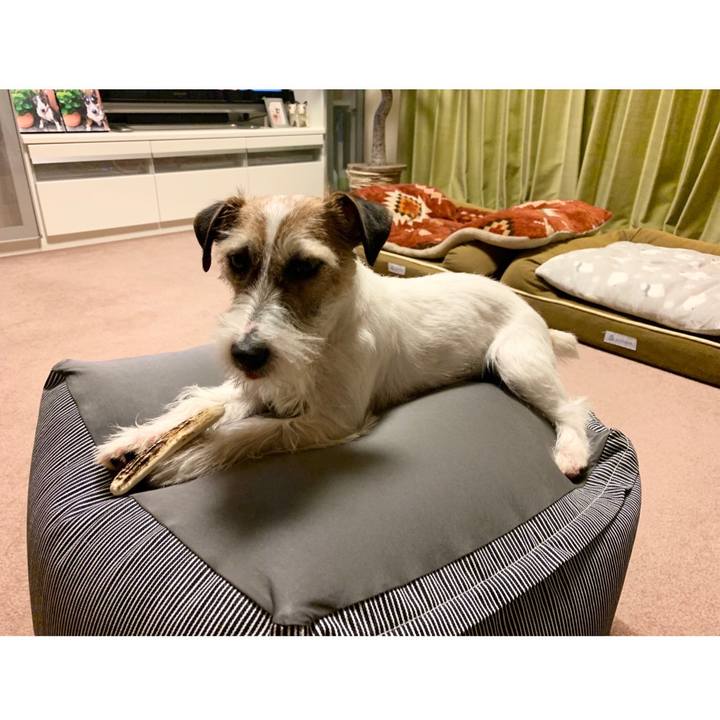 A7796491 8a57 4cc9 afb2 cb099799a1c4 1584709352569