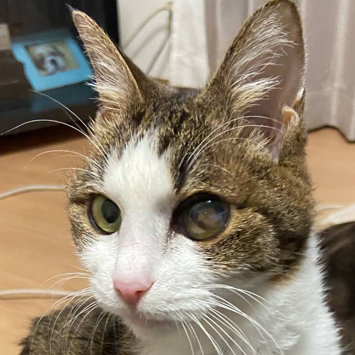 A7796d4b 44fb 4843 8813 68d77b9bd56c 1600254144527