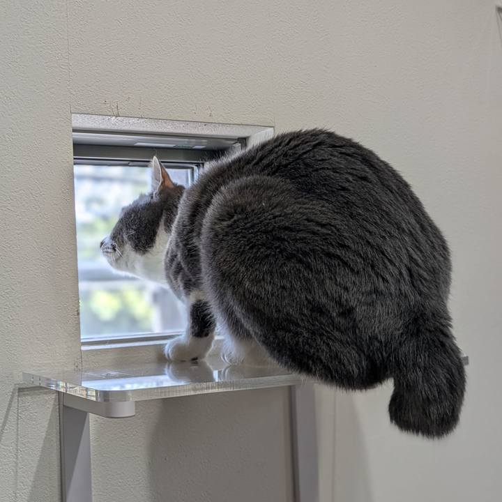 A77995dd c12b 42d7 9c9e 1f3e4e98c0bc 1745213157613