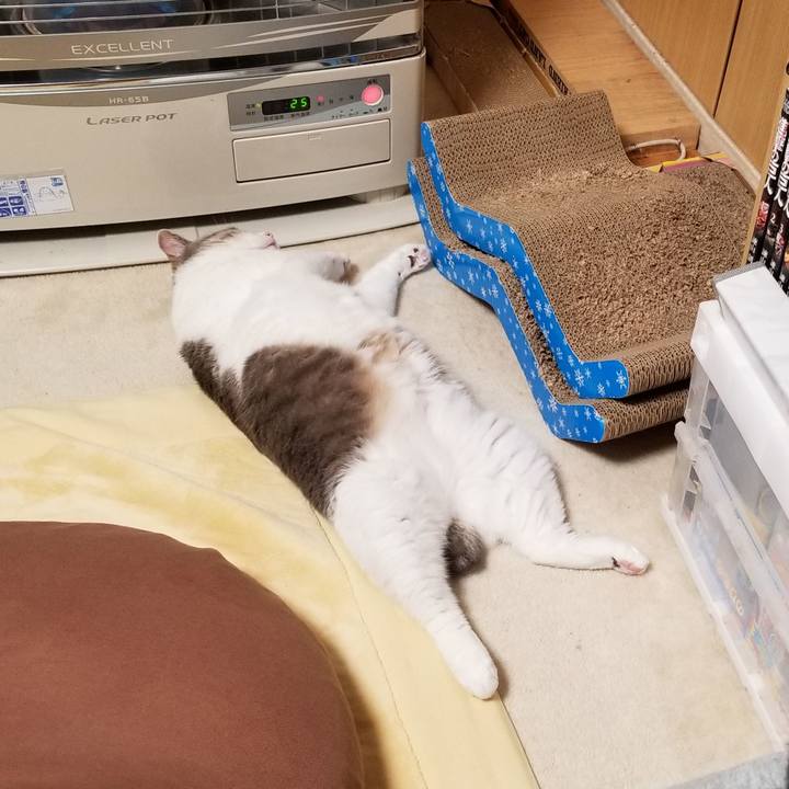 A779a7ed fc5e 406e a614 2c7531110420 1606655696524