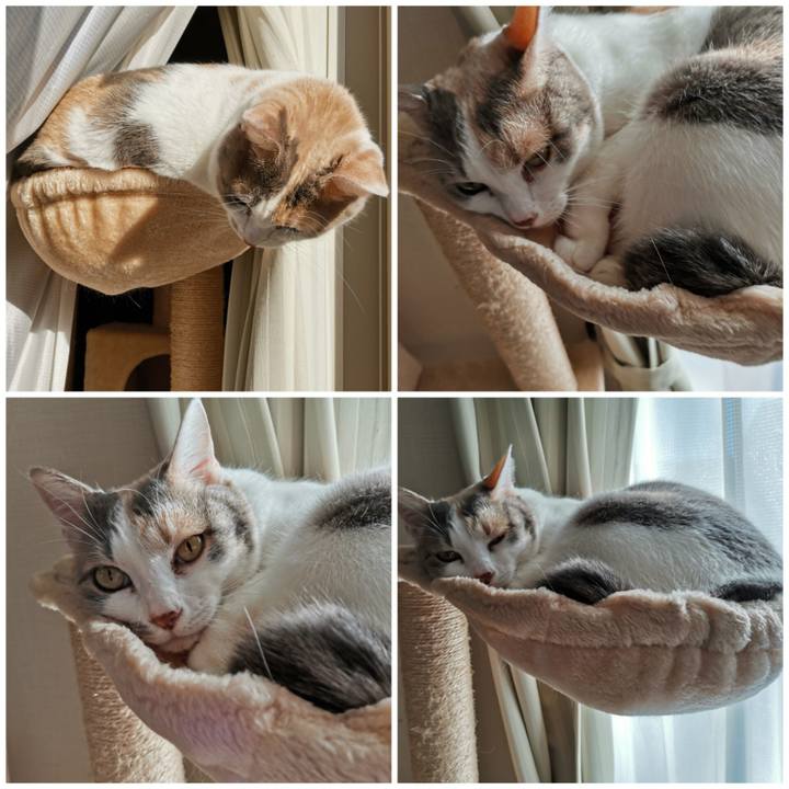 A779af7d 244f 4e38 a39b 9276a672ab38 1670300728647