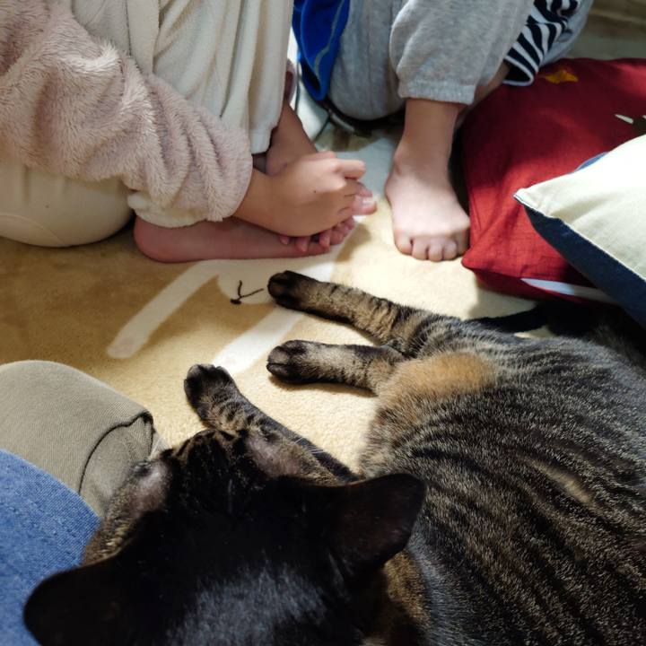 A77a0e7d 1dac 47af acc5 d471433a9c5c 1774012516142