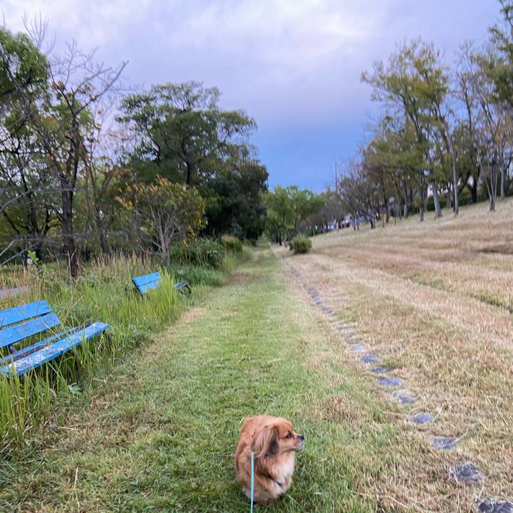 A77a29f2 167b 45cb a600 421653f5d3ac 1603059372766