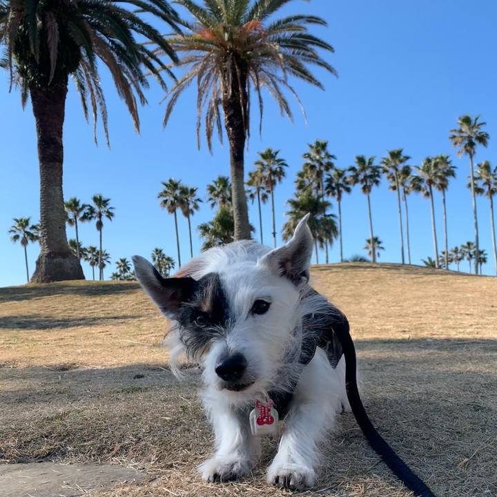 A77a4a2a 6121 443c a251 742d385a6162 1705111115075