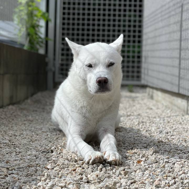 A77a4b50 ad3e 467d bd4c 02b366aa151d 1629707546751