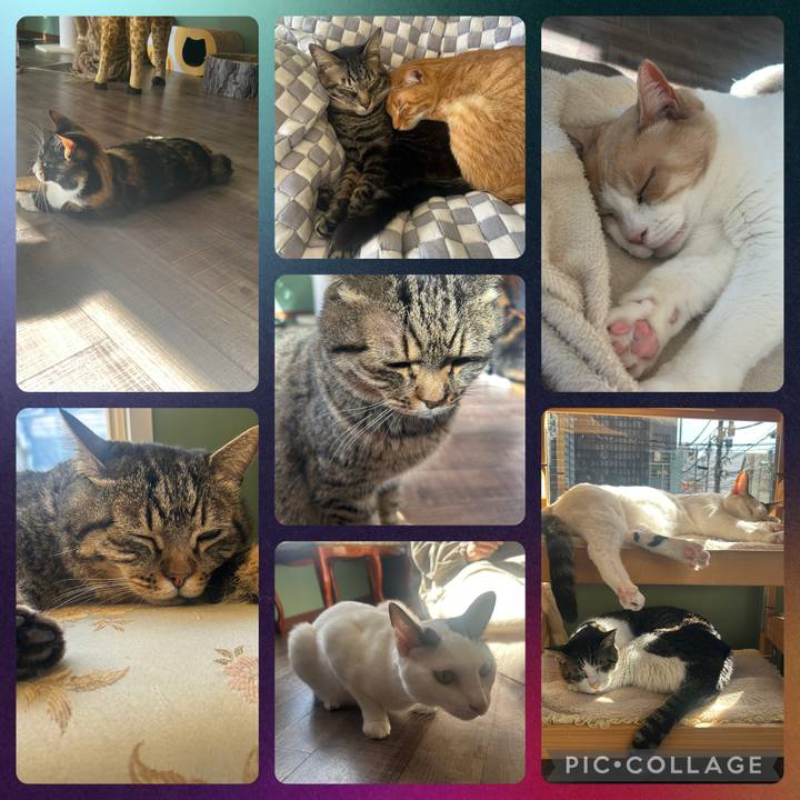 A77a76ab 7020 484b b4e6 e3a4d4da1645 1739259424126