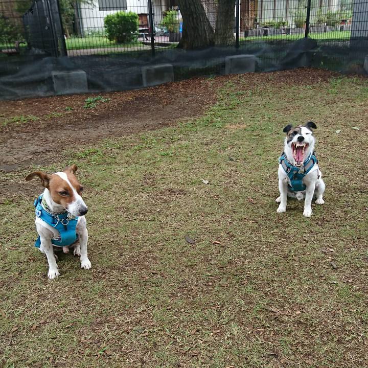 A77aa771 afc4 499a 811d 34b942bd158c 1601164381500