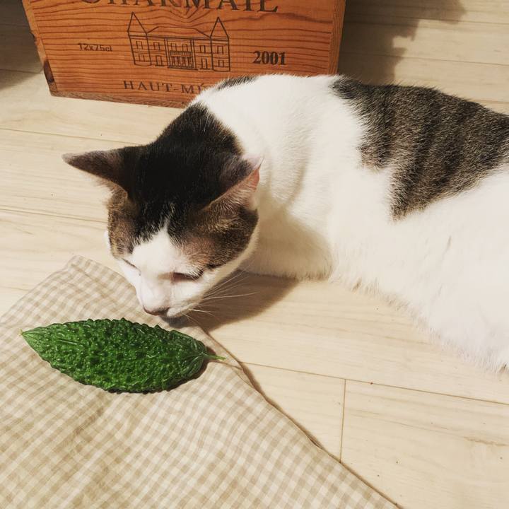 A77ac31f dae2 42c2 958b de93c2f18892 1567353706606