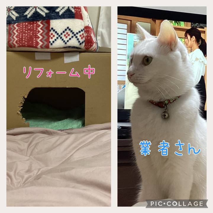 A77ac781 d20b 4278 acec cf7e3a26662d 1676157191662