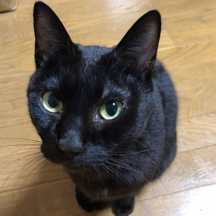 A77ad6b3 13a6 4299 bc55 8e4beb0dfe56 1736545283336