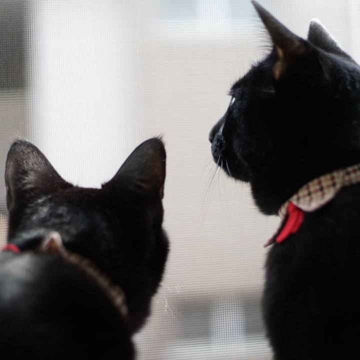 A77b4686 e496 46b3 8e43 8e547afe2130 1527302531849