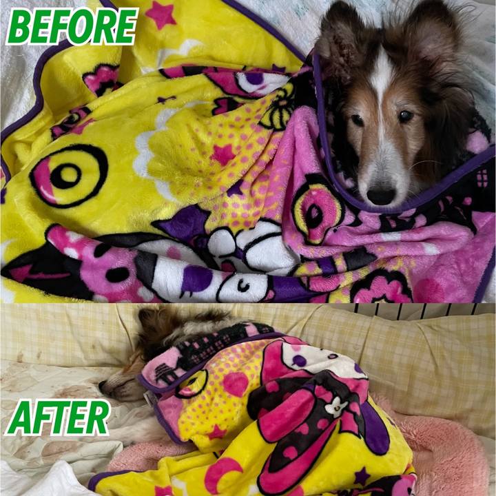 A77b53c3 e829 478c aa51 3a2b3c0aae36 1637053734319