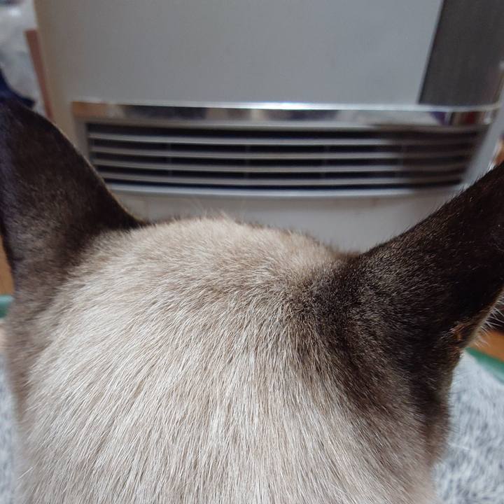 A77bca2f 5461 4e8a 9893 930ec5361383 1764679826766