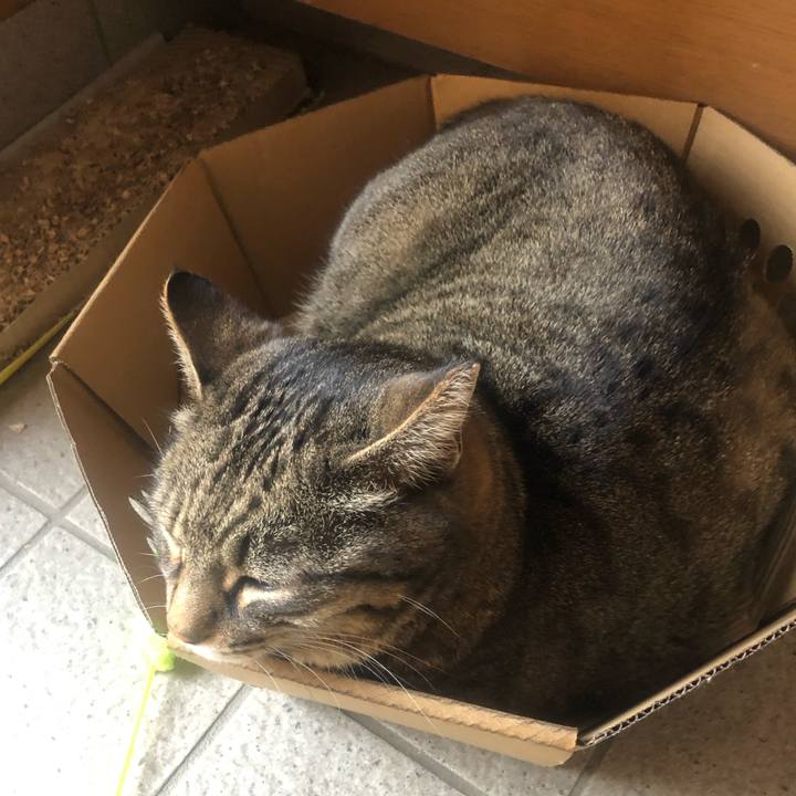 A77c2022 01d8 4cd4 ab86 2f89db479e94 1555415476638