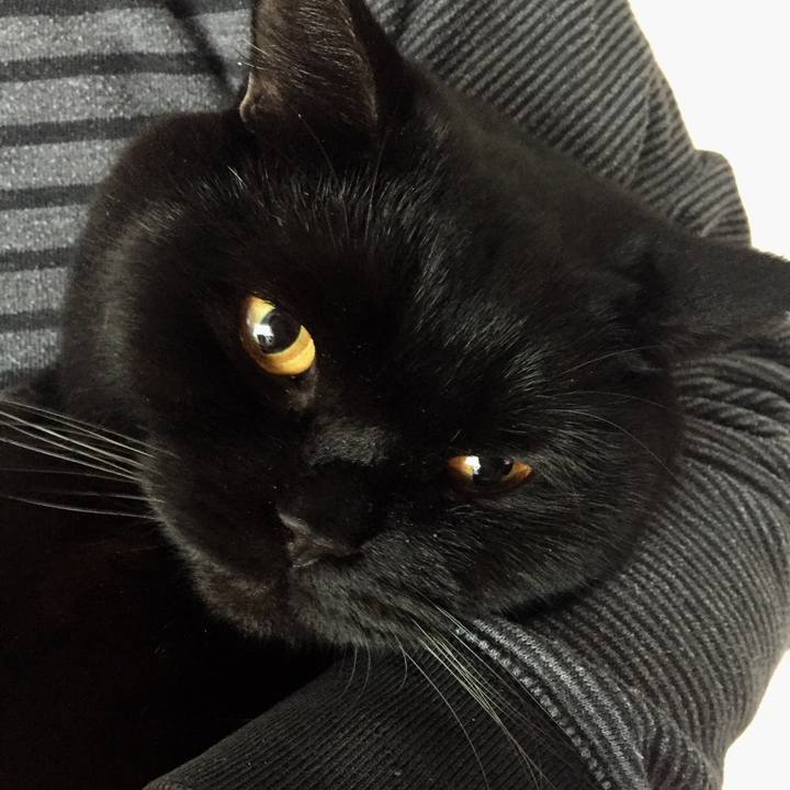 A77c2462 110d 4c3f 8f98 0ddb7bfadcd5 1515760346367