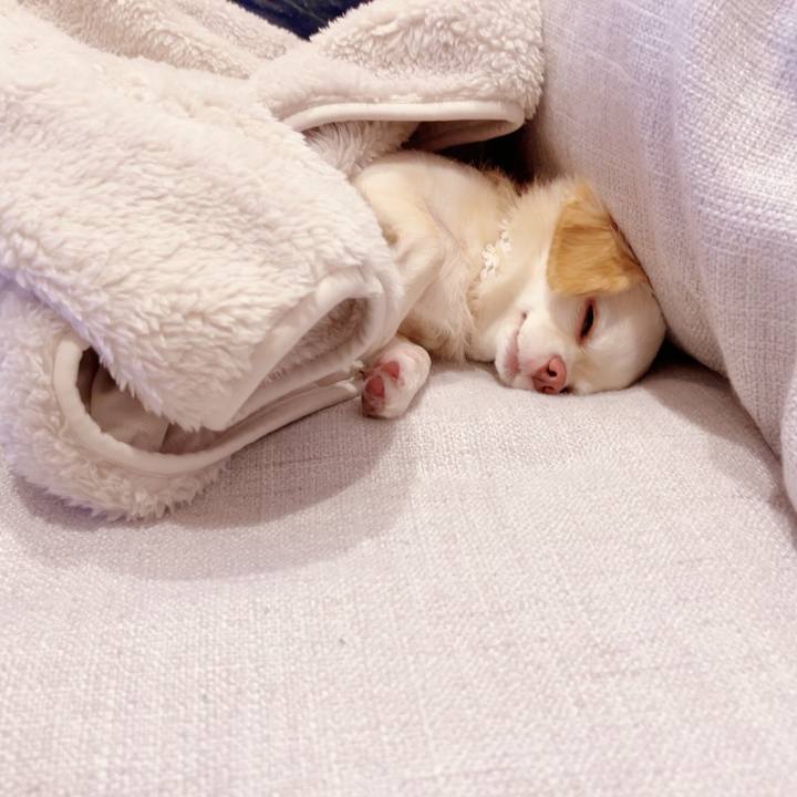 A77c4b6e 0564 4aa9 a612 0b12bfc74cc3 1698495653809