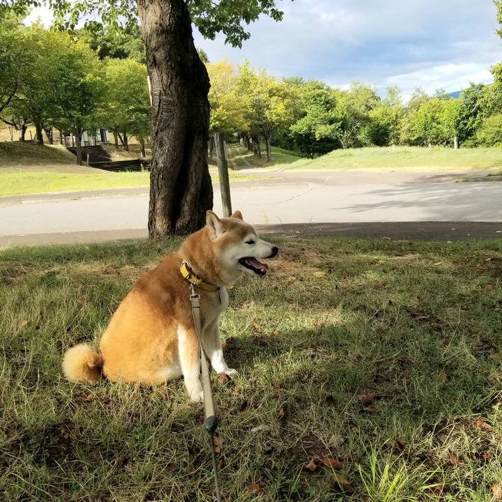 A77c629c a839 4041 a7d2 f73fd192d173 1691999441010