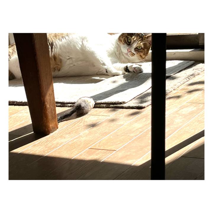 A77c7c15 21bd 4bcd aeb8 db48fcb563fb 1667962493349