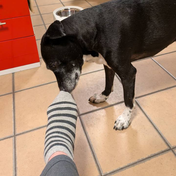 A77c8012 d9ef 49f2 9382 f8db5a63a517 1735470627782