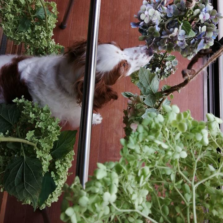 A77c84e4 8d3d 4f05 8fa9 c8ae855fe9e8 1594531593273