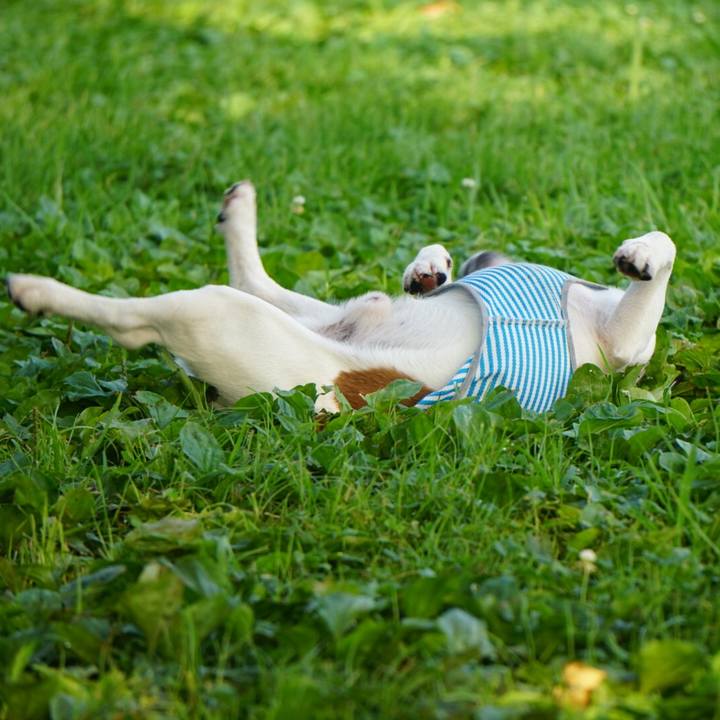 A77ca613 8743 437e aa0b 52d54621fffe 1564528727078