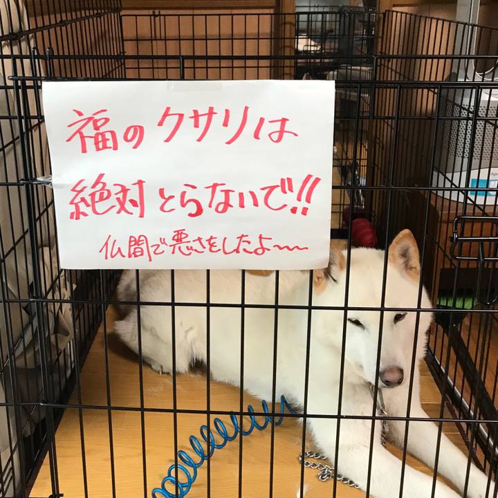 A77cc63b 0602 47db 8159 f951fdcf5e18 1560631241906