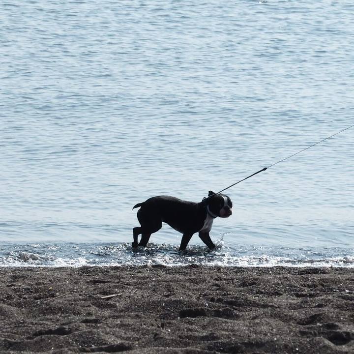 A77cfadf 0495 4266 b03d c8687c219a65 1554021799618