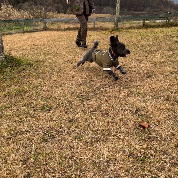 A77d2ffb d485 4ae8 bfec 173f15b0afca 1764249534087