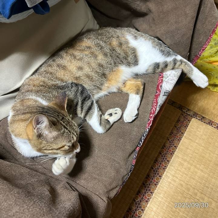 A77d33db 8495 4d3c 8110 b14987b3fefa 1759184231121